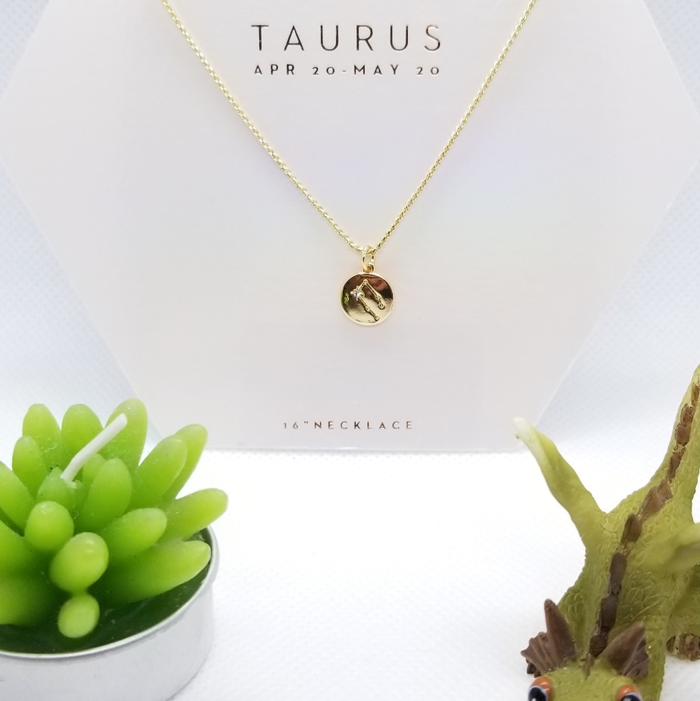 Zodiac "TAURUS" Astrology Necklace